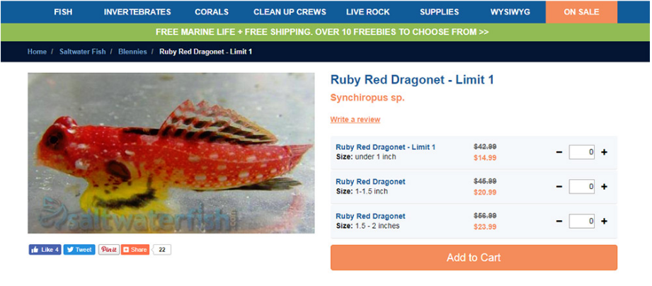 電子商務(wù)產(chǎn)品頁面設(shè)計：網(wǎng)頁設(shè)計師的最佳實(shí)踐和技巧-瑩晨建站-www.prodigallitmag.com