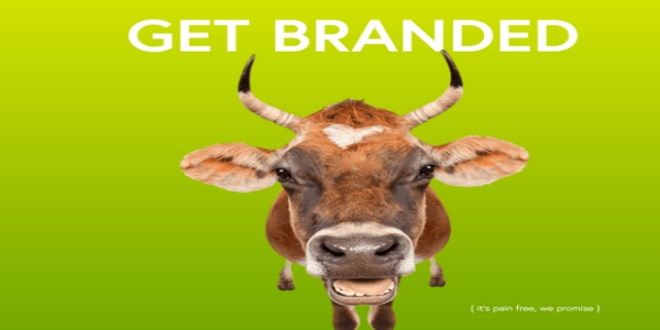 2019年喜愛（和使用）漸變的10個(gè)理由-瑩晨建站-www.prodigallitmag.com