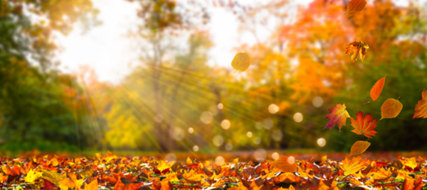 2019年網(wǎng)站設(shè)計新趨勢-瑩晨建站-www.prodigallitmag.com