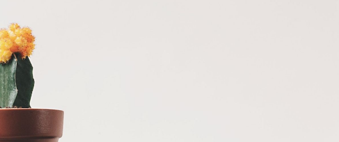 移動設(shè)計中留白設(shè)計定義和重要性-瑩晨建站-www.prodigallitmag.com 移動設(shè)計中留白設(shè)計定義和重要性-瑩晨建站-www.prodigallitmag.com