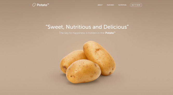 網(wǎng)站主頁創(chuàng)意的5個(gè)提示-瑩晨建站-www.prodigallitmag.com 網(wǎng)站主頁創(chuàng)意的5個(gè)提示-瑩晨建站-www.prodigallitmag.com